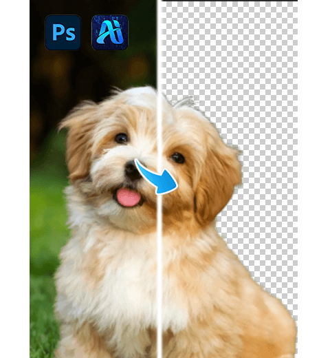 30s | How to Use AI for Hair Cutouts in Photoshop