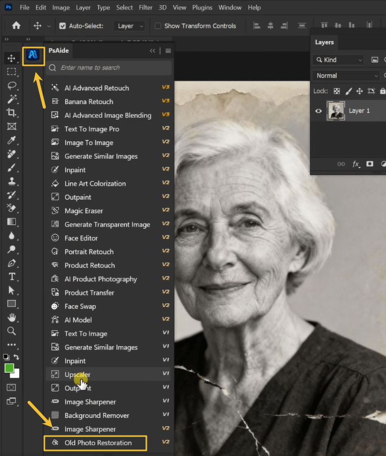Old Photo Restoration