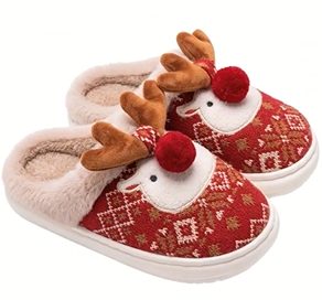 High-quality slipper image