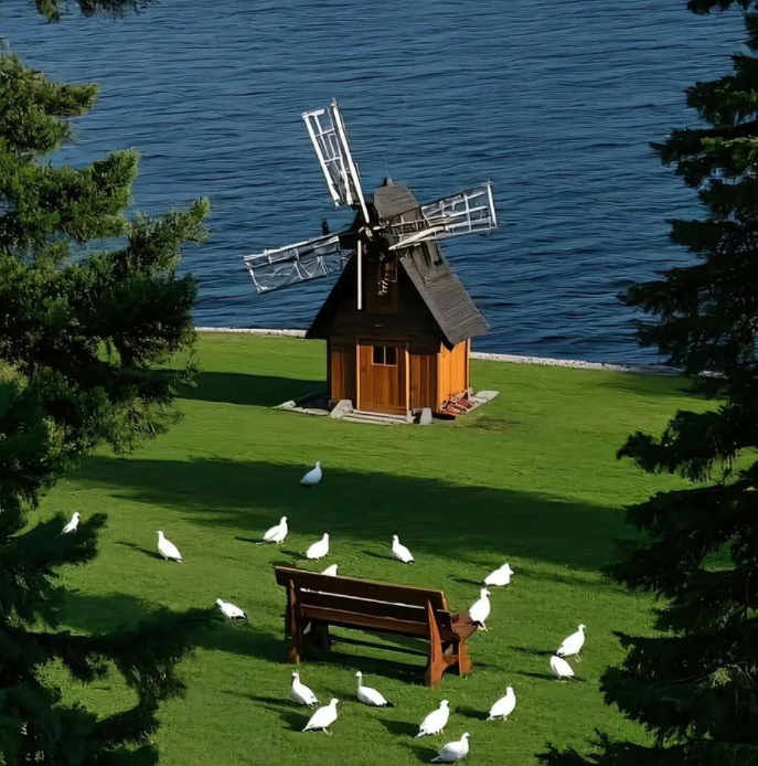 Generate the Restored Scene