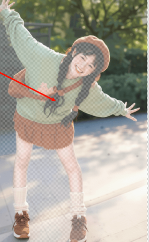  Refine Edge Brush Tool