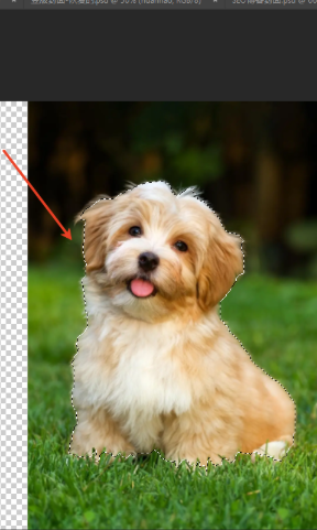 Using the "Select and Mask" 