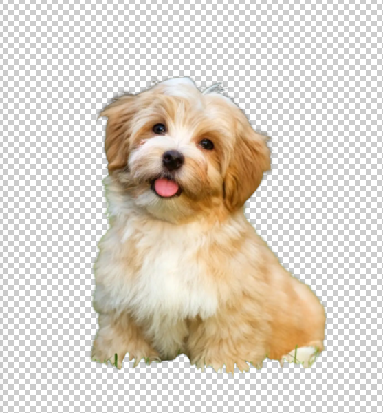 Background Remover in Photoshop