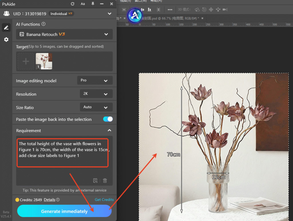 Modify Prompt for Size Marked Image