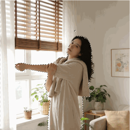 Quick Selection Tool