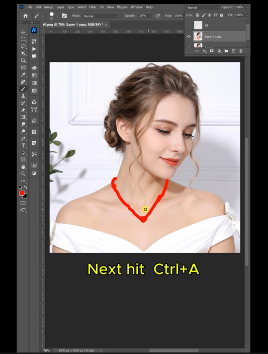 Mark the original necklace area with red in Photoshop